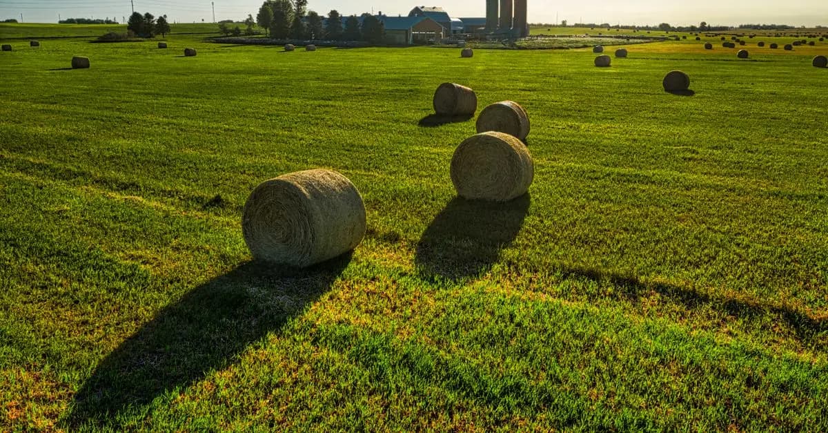 Les fournitures agricoles essentielles pour optimiser votre ferme