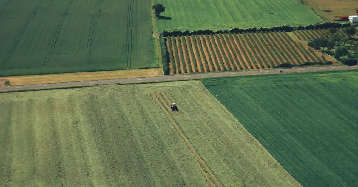 Les critères essentiels pour bien choisir vos fournitures agricoles
