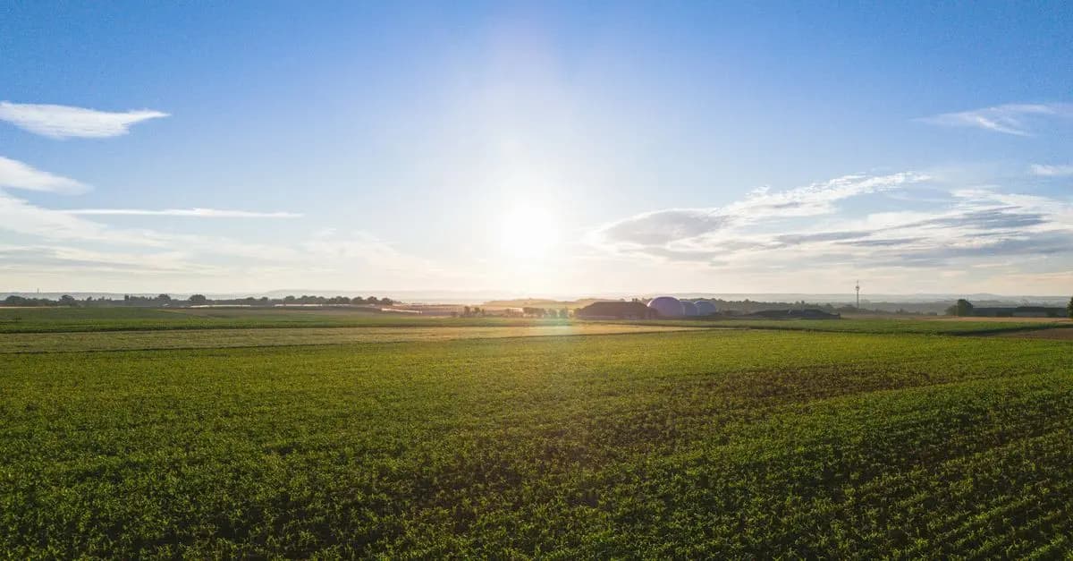 10 outils indispensables pour tout agriculteur