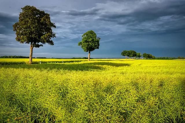 Choisir des Fournitures Agricoles Écologiques : Guide Pratique