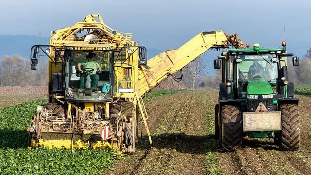 Les erreurs courantes à éviter lors de l'achat de fournitures agricoles