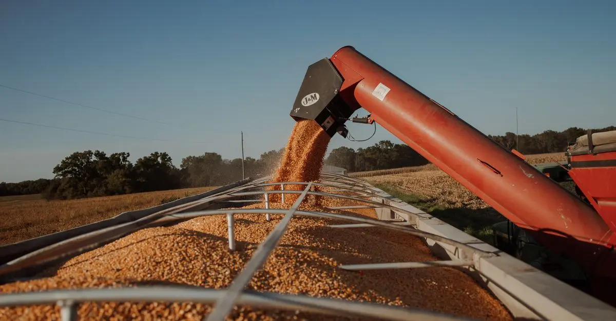 Comment bien choisir vos fournitures agricoles en fonction du sol