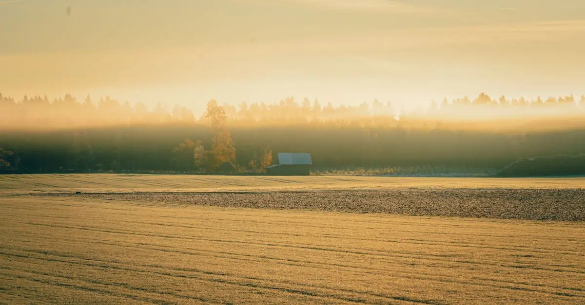 Utiliser la technologie Blockchain pour sécuriser vos transactions agricoles