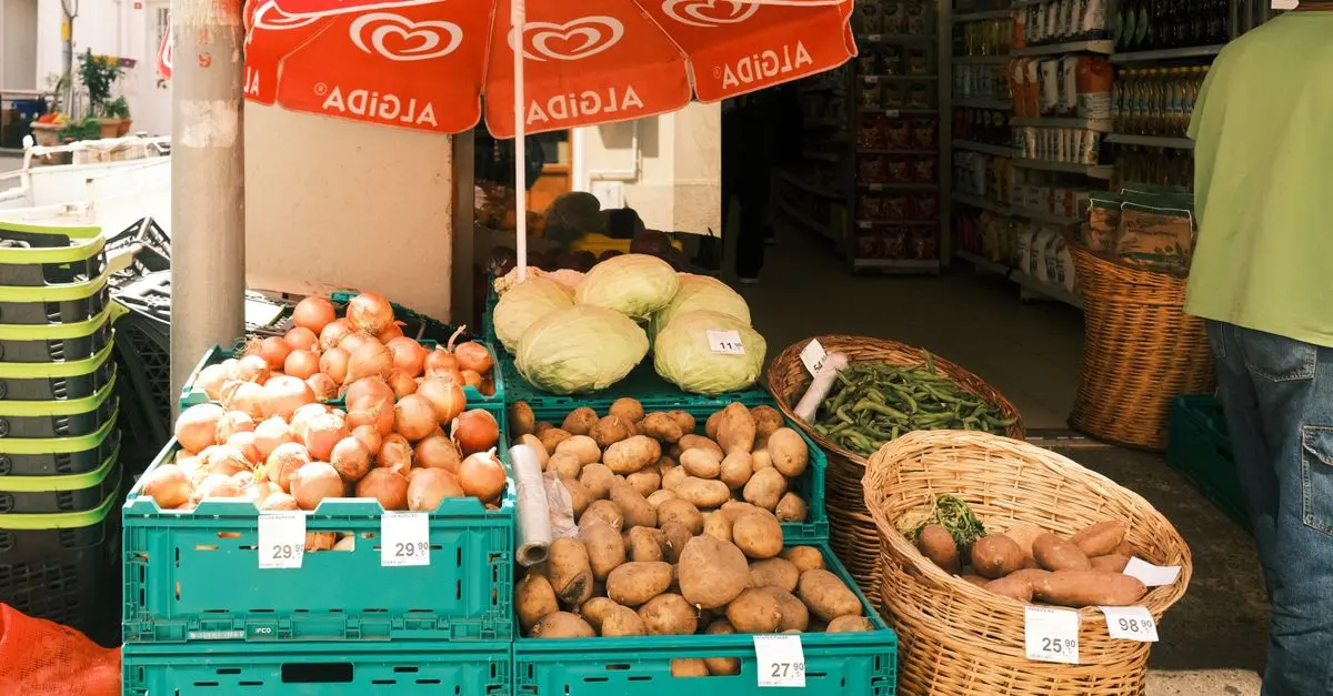 Les erreurs à éviter lors de l'achat de fournitures agricoles