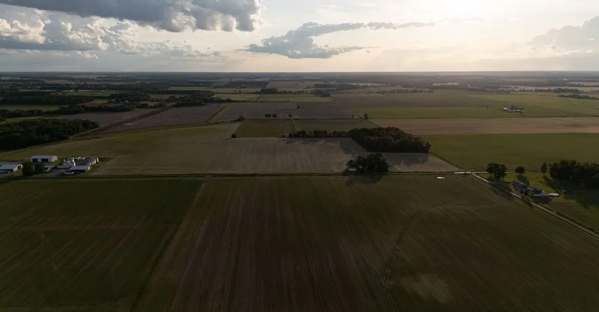 Guide complet des fournitures agricoles pour les débutants