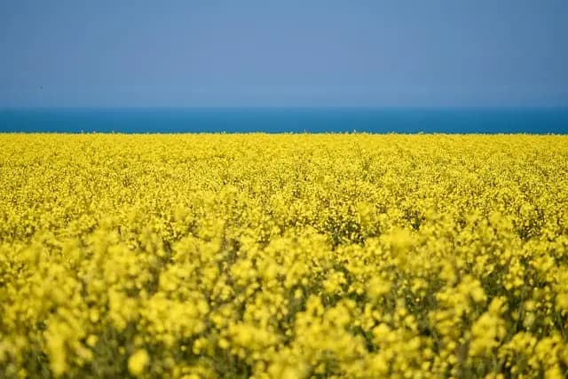 Comment choisir des fournitures agricoles pour un sol sain