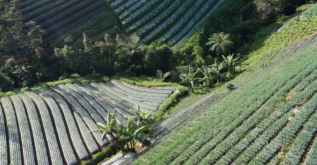 Les fournitures indispensables pour une agriculture durable