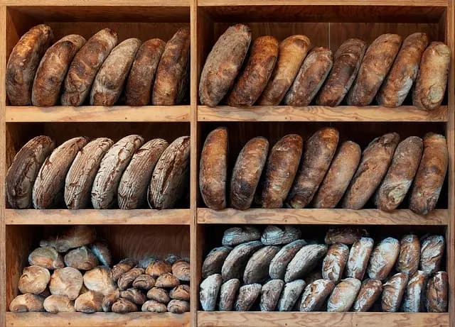 Tout savoir sur les semences anciennes : avantages et choix