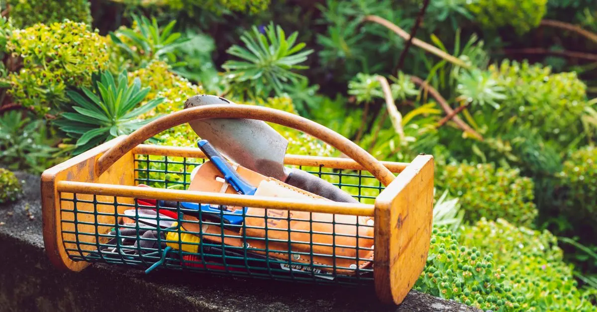 Comment bien choisir vos fournitures agricoles en fonction des saisons