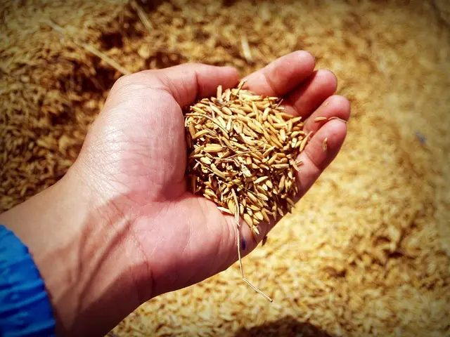 Les meilleures pratiques pour le choix des fournitures agricoles