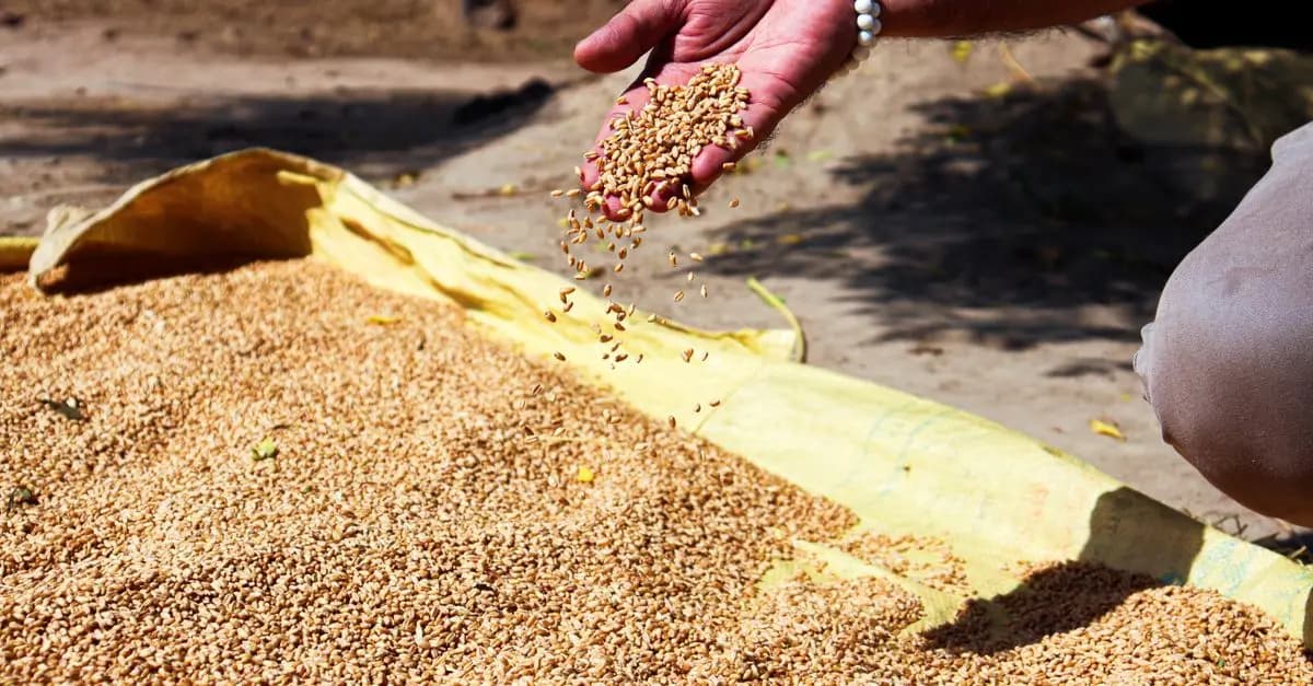 10 astuces pour choisir des fournitures agricoles de qualité