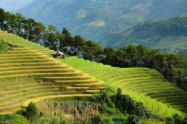Comment choisir les meilleures fournitures agricoles éco-responsables