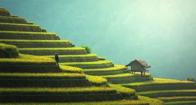 Comment optimiser l'utilisation des fournitures agricoles durables