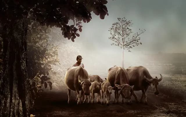 Les erreurs fréquentes à éviter lors de l'achat de fournitures agricoles
