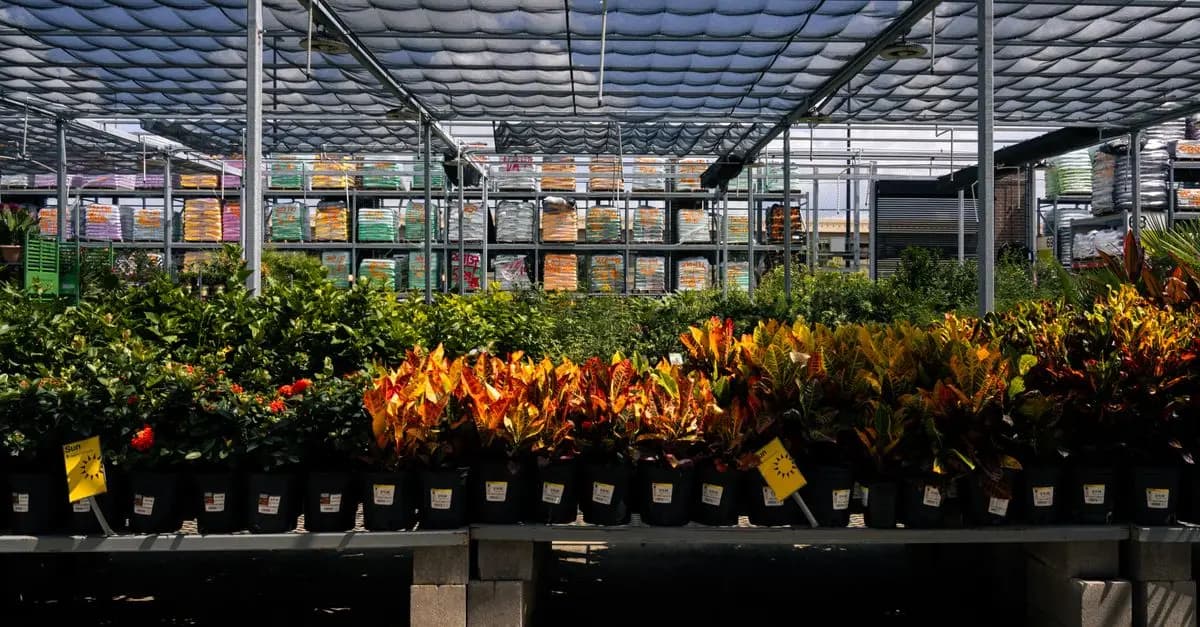 Les erreurs fréquentes à éviter lors de l'achat de fournitures agricoles