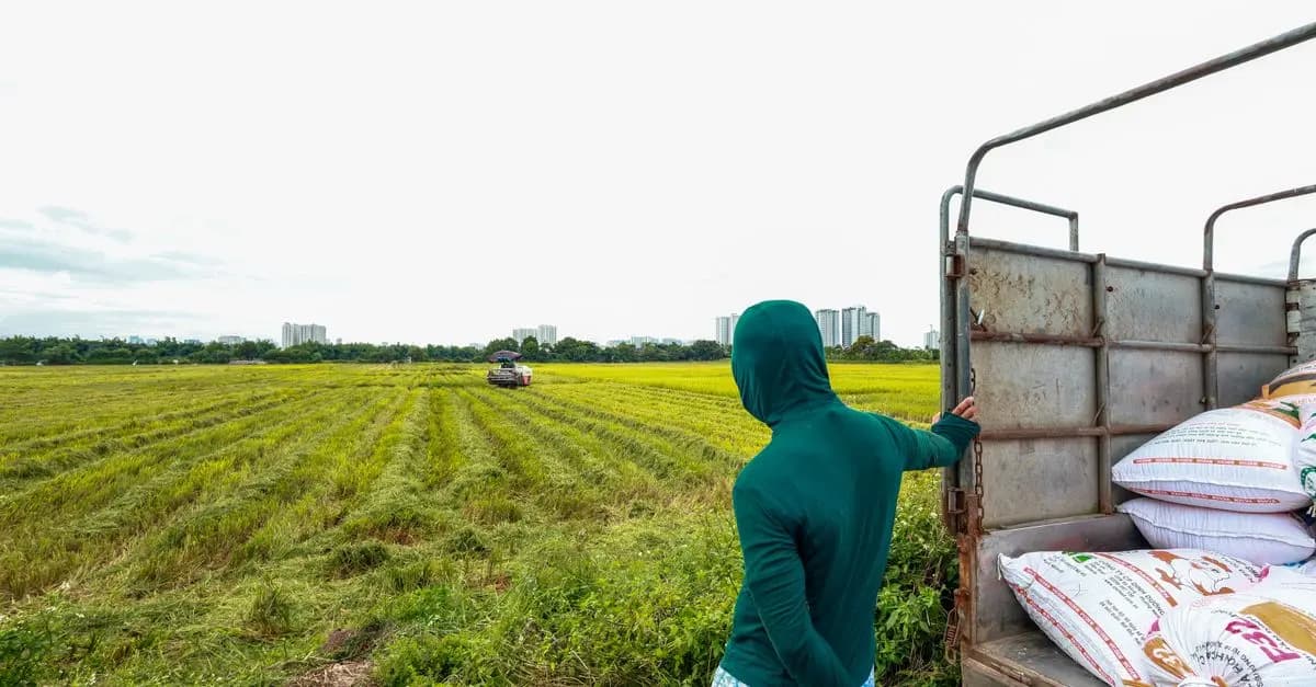 Les erreurs fréquentes à éviter lors de l'achat de fournitures agricoles