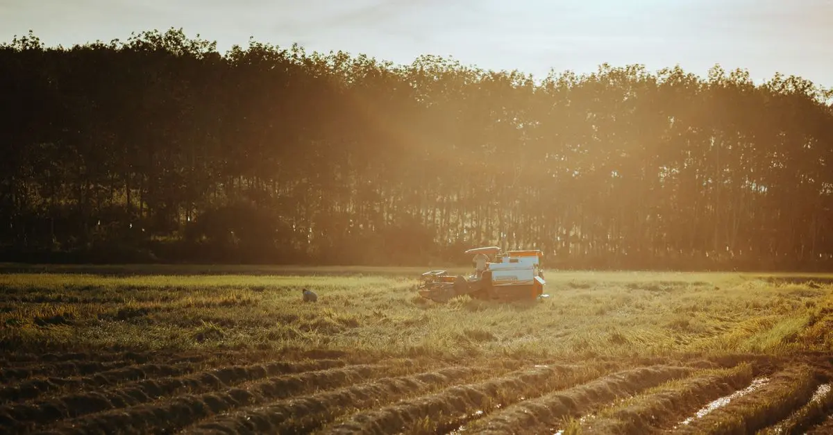 Les meilleures pratiques pour l'entretien d'un pulvérisateur agricole