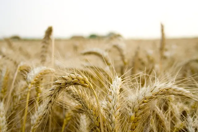 5 innovations qui révolutionnent les fournitures agricoles