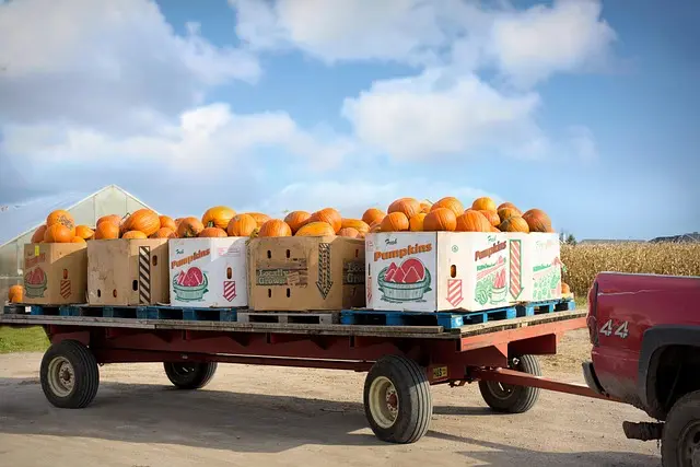 Comment choisir des fournitures agricoles en fonction des saisons