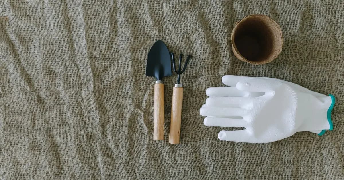 Quels outils de jardinage choisir pour votre exploitation ?
