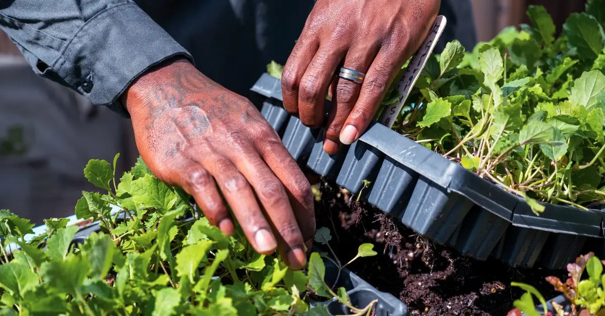 Comment choisir des outils de travail du sol adaptés à votre ferme
