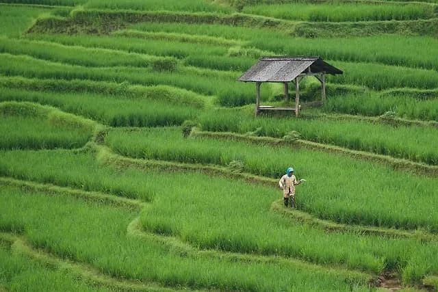 Les avantages des fournitures agricoles durables pour votre exploitation