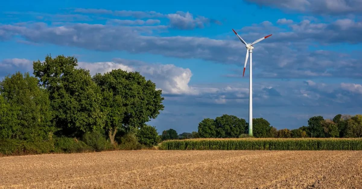 Comment créer une charte écologique pour votre ferme