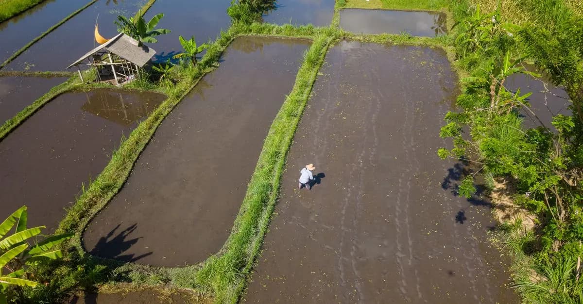 Comment bien choisir des fournitures agricoles pour votre ferme