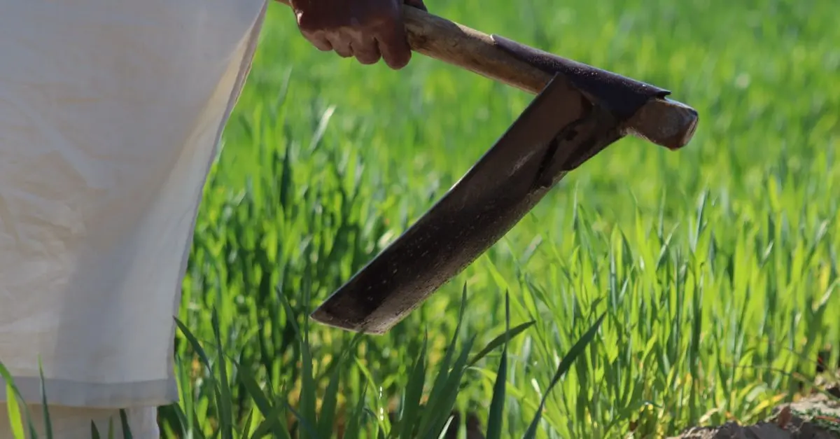 Les meilleures fournitures agricoles pour une saison réussie