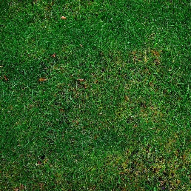 Comment choisir des fournitures agricoles écologiques pour votre ferme