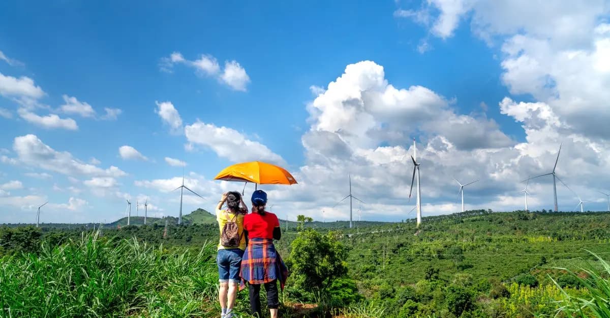 Utiliser les emballages écologiques pour vos produits agricoles