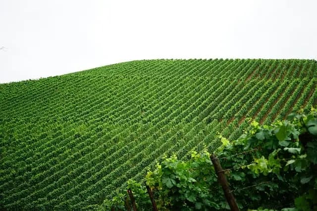 Les 10 fournitures agricoles indispensables pour votre exploitation