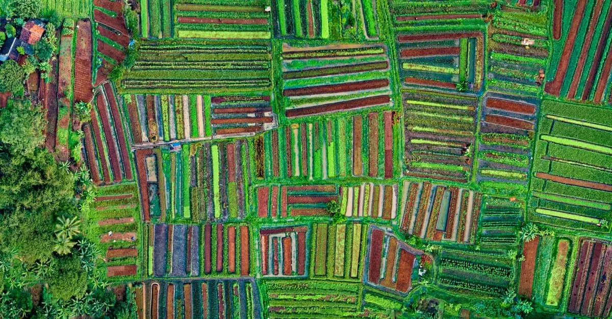 Comment choisir des fournitures agricoles durables