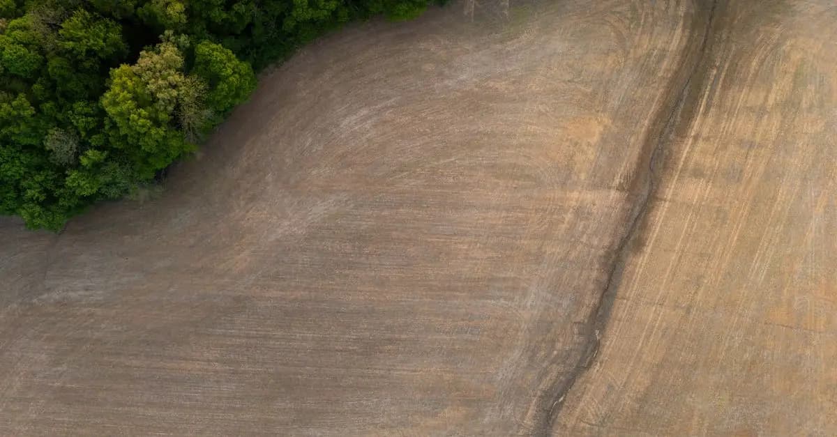 Cultures intercalaires : augmenter la production de votre ferme