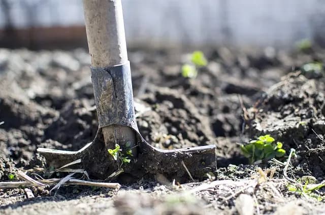 Comment bien choisir des outils de jardinage pour votre exploitation