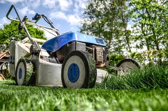 Les erreurs à éviter lors de l'achat de fournitures agricoles
