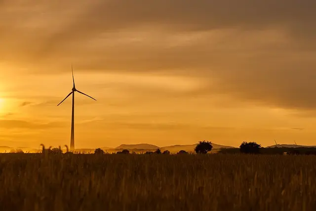 Les fournitures agricoles écologiques : pourquoi et comment les choisir