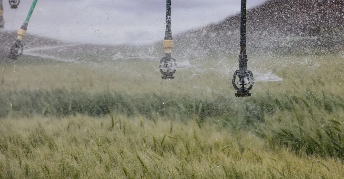 Comment choisir les fournitures agricoles selon vos cultures
