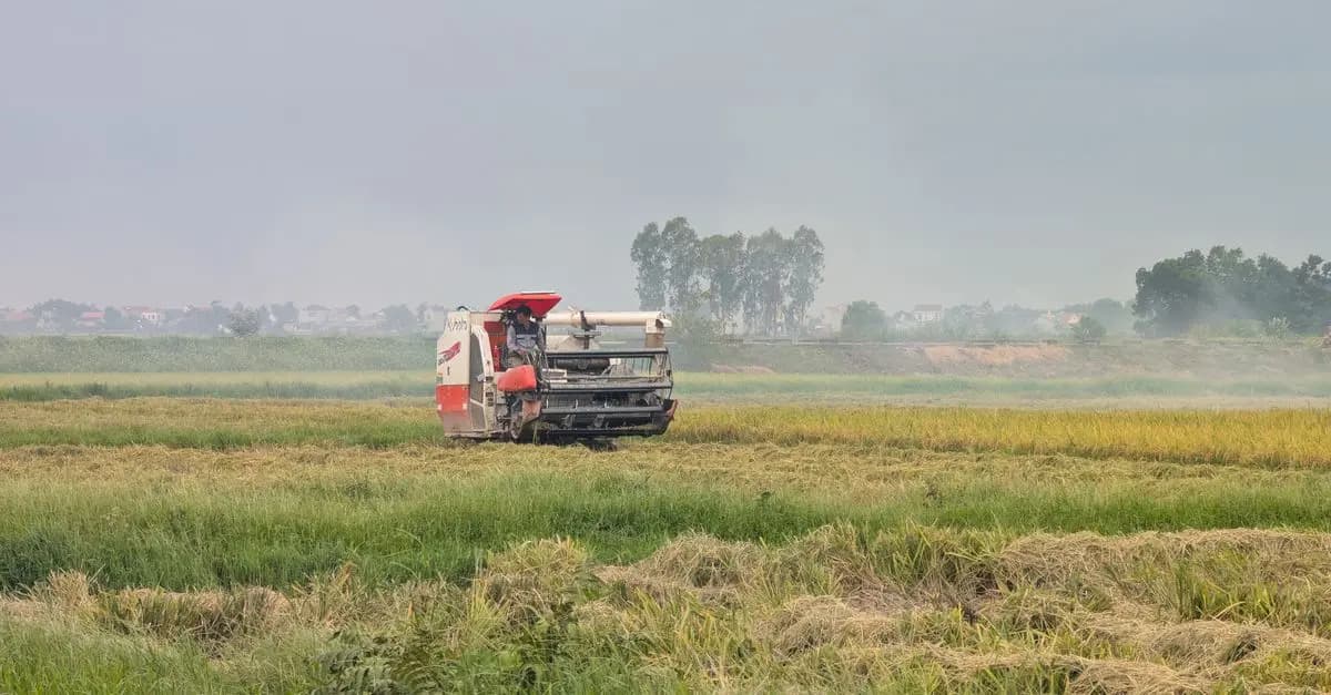 Les meilleurs outils pour optimiser votre rendement agricole