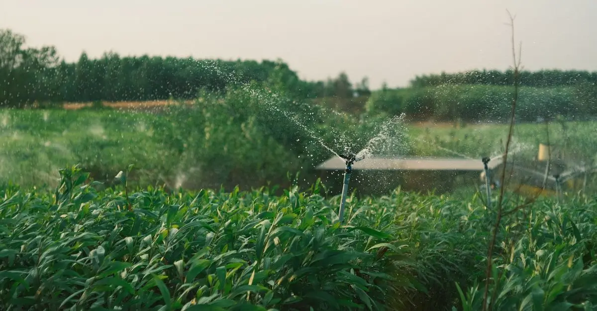 Les fournitures agricoles indispensables pour une agriculture durable