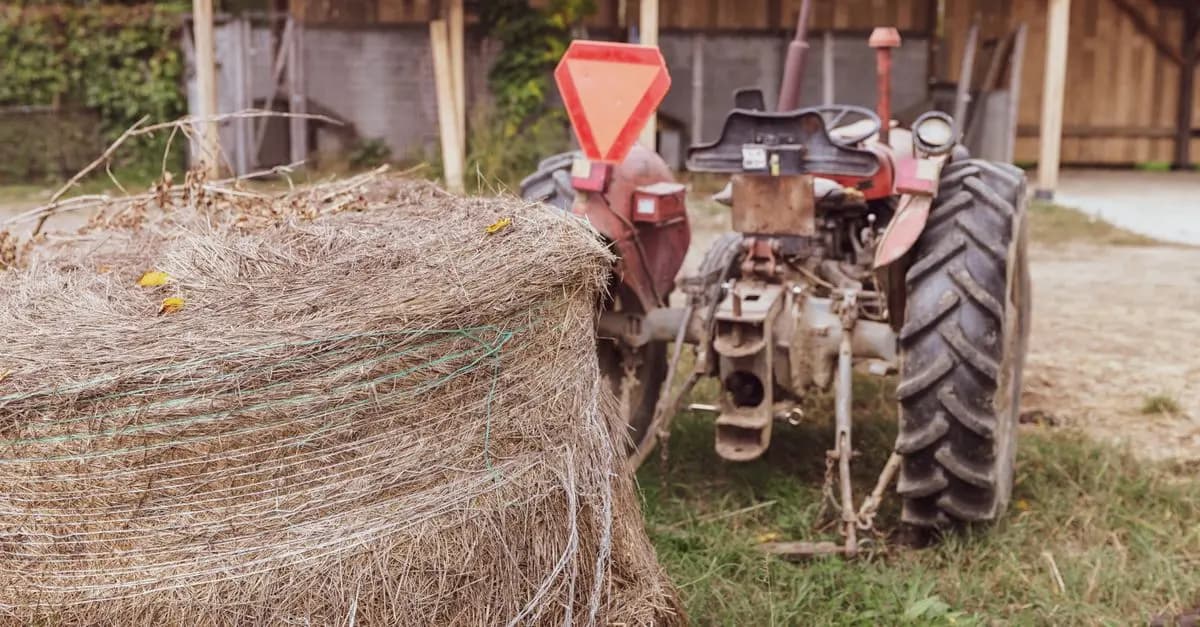 Les meilleures pratiques pour stocker vos fournitures agricoles
