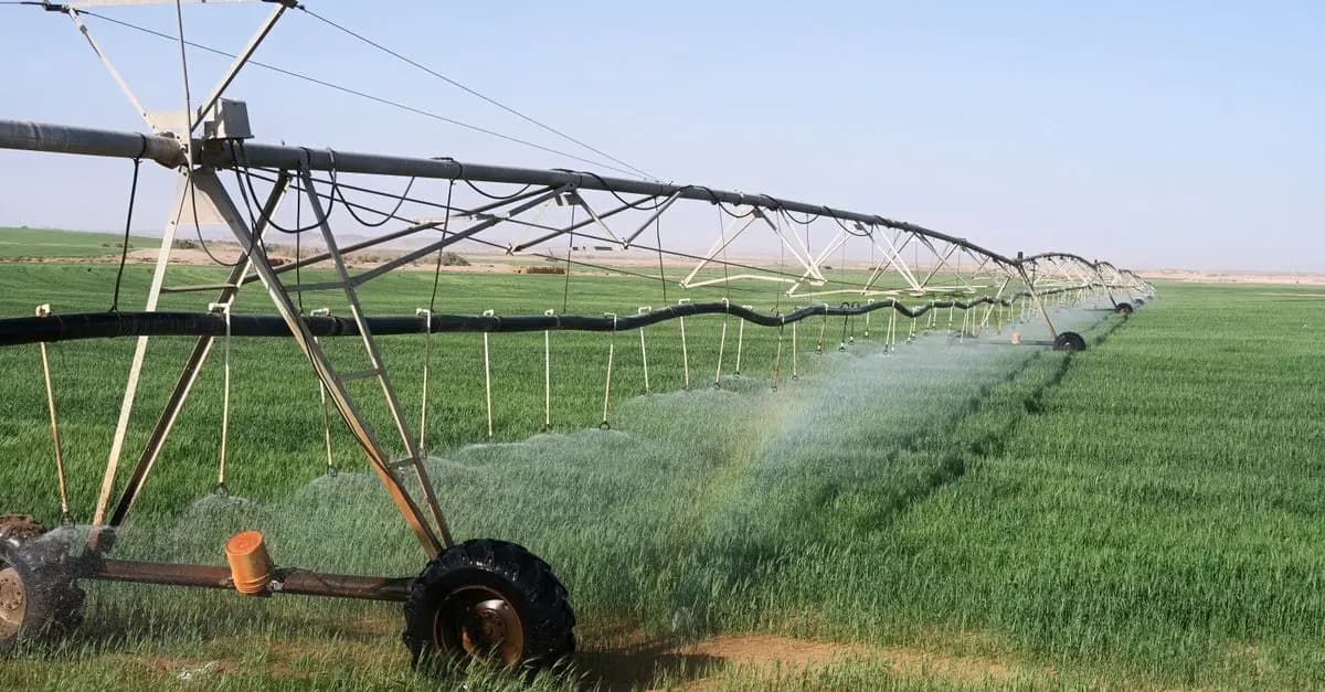 10 fournitures agricoles indispensables pour optimisez votre exploitation