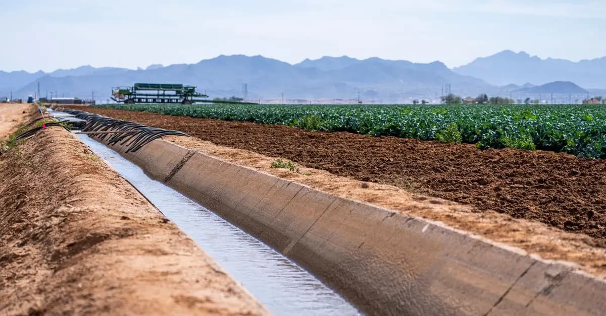 Fournitures agricoles essentielles pour une exploitation durable