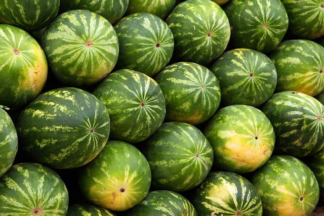 Comment choisir des fournitures agricoles pour un sol sain