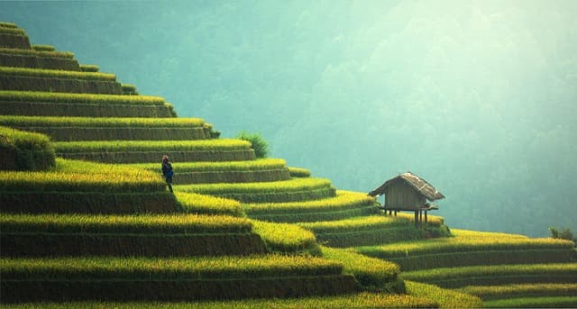 Comment choisir des fournitures agricoles respectueuses de l'environnement