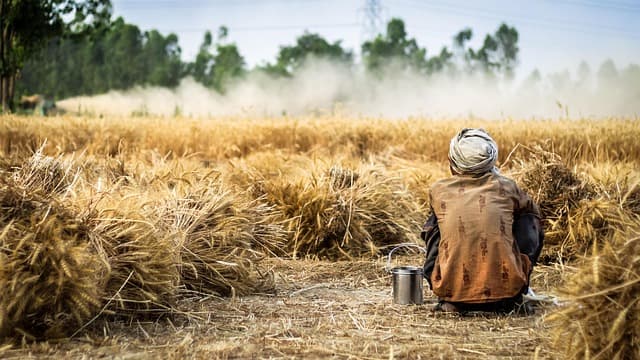 Les avantages des fournitures agricoles bio pour votre exploitation