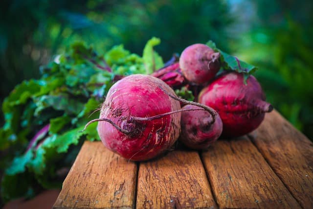 Guide complet des différentes fournitures agricoles essentielles