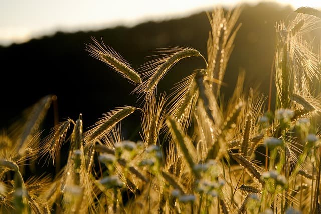 Comment bien choisir vos fournitures agricoles éco-responsables