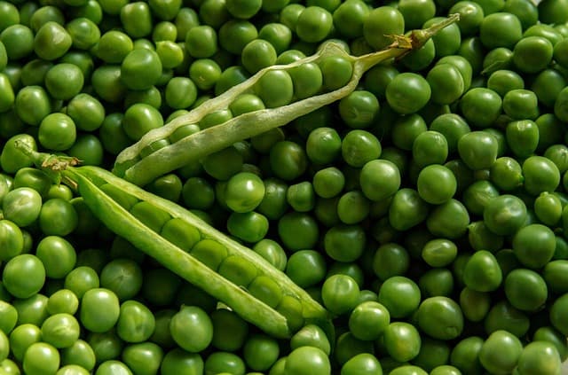 Comparatif des différentes marques de semences agricoles