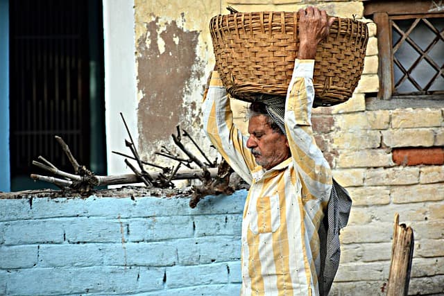 Les meilleures pratiques pour choisir vos fournitures agricoles